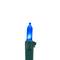 100ct. LED Mini Christmas Lights With Green Wire